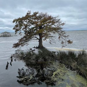 Meet your Posher, Martin